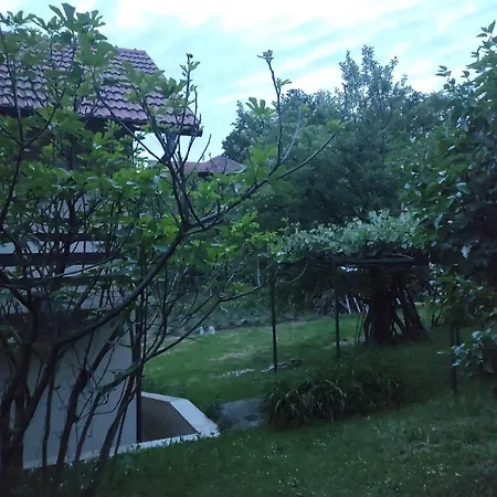 Airport Tuzla 롯지